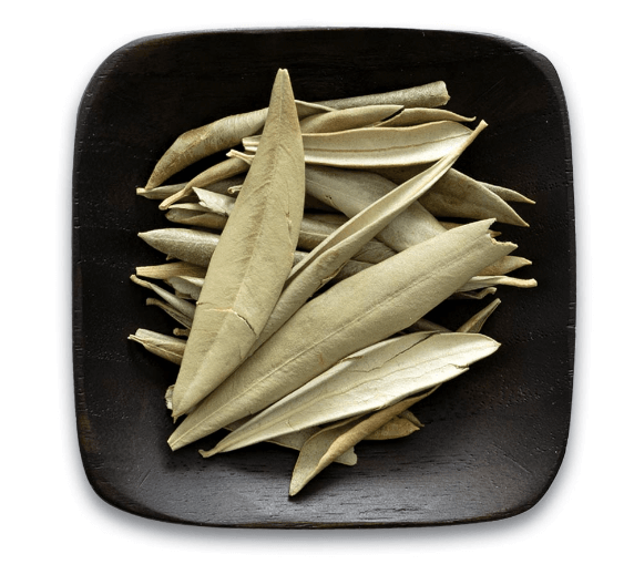 VegNews.OliveLeaves