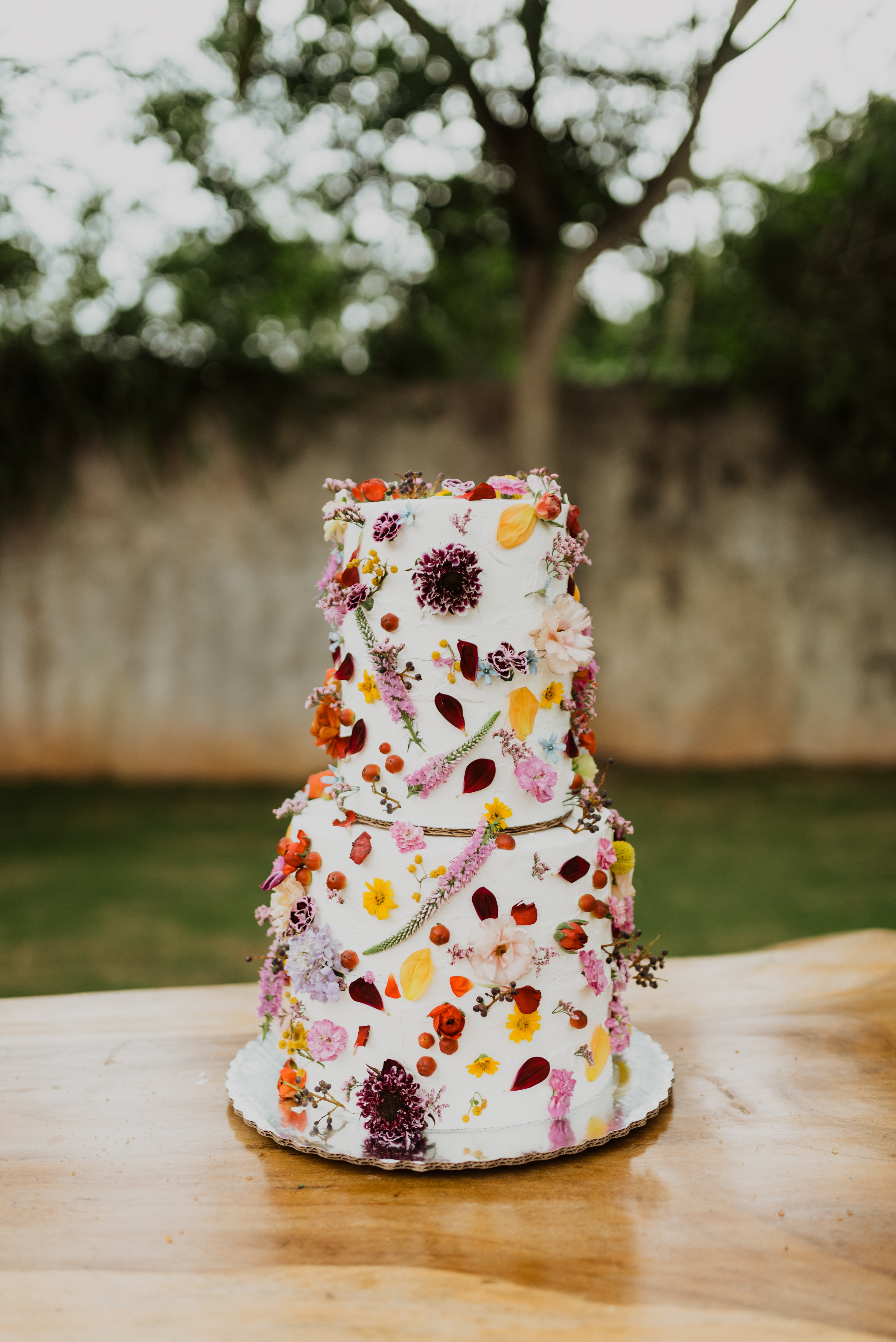 VegNews.VeganWEddings.HannahCake