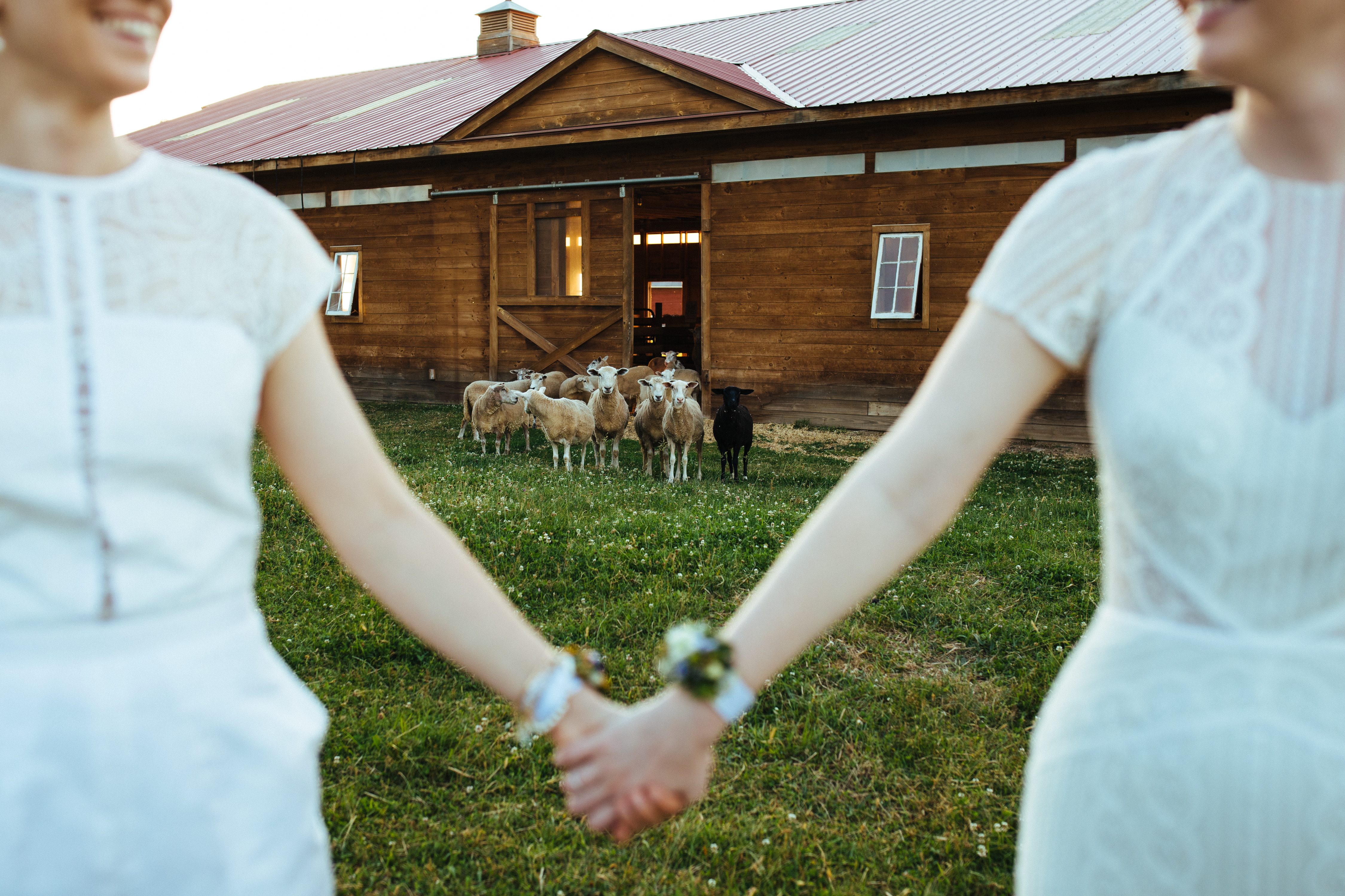 VegNews.VeganWeddings.HoldingHands