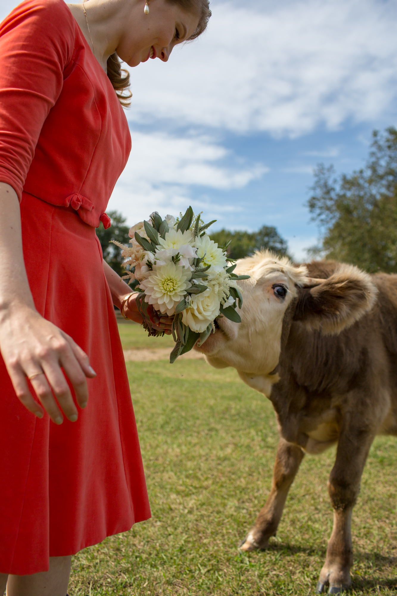 vegnews.Veganweddings.SanctuaryWedding