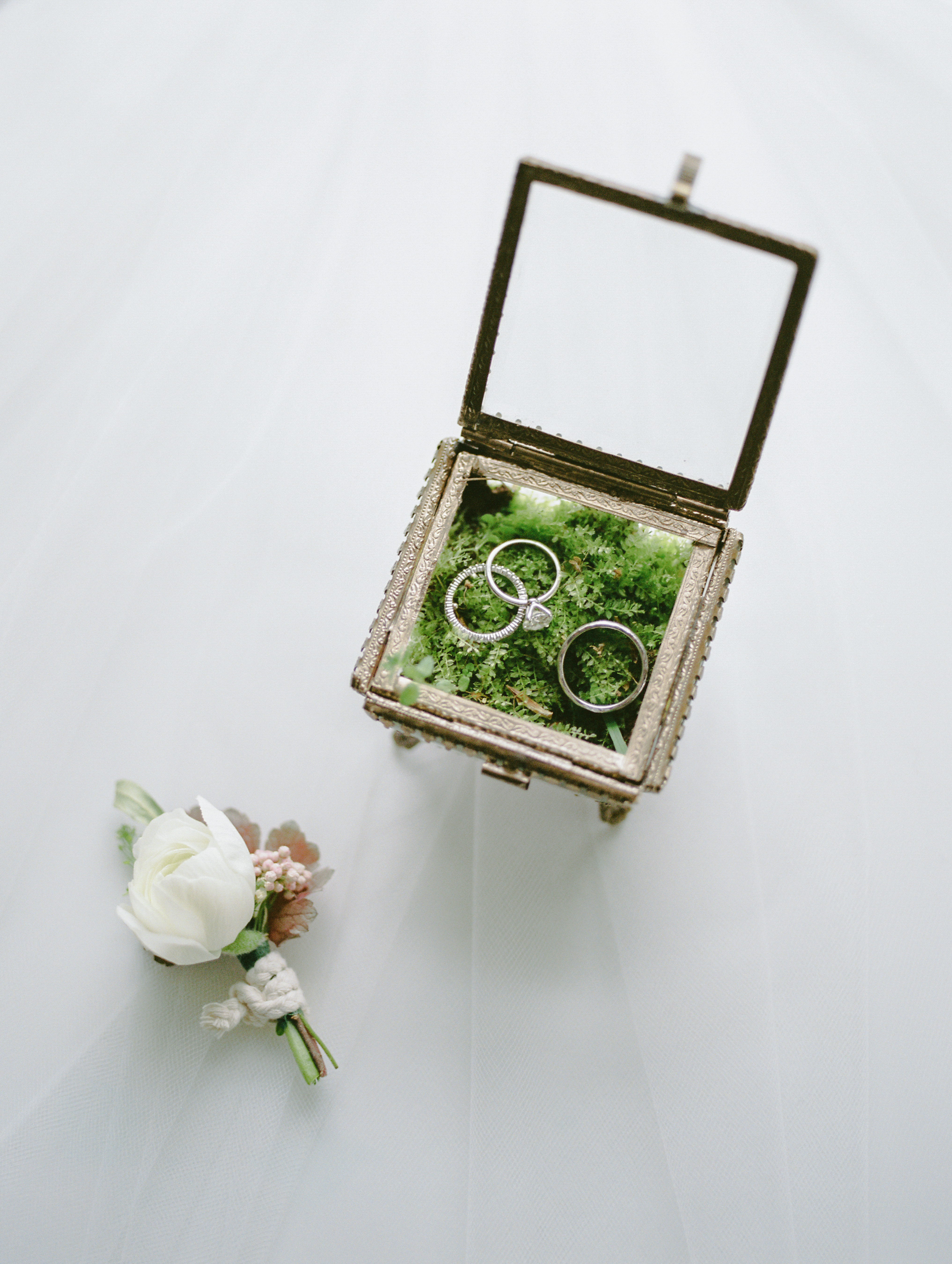VegNews.VeganWeddings.HenryCadyjpg