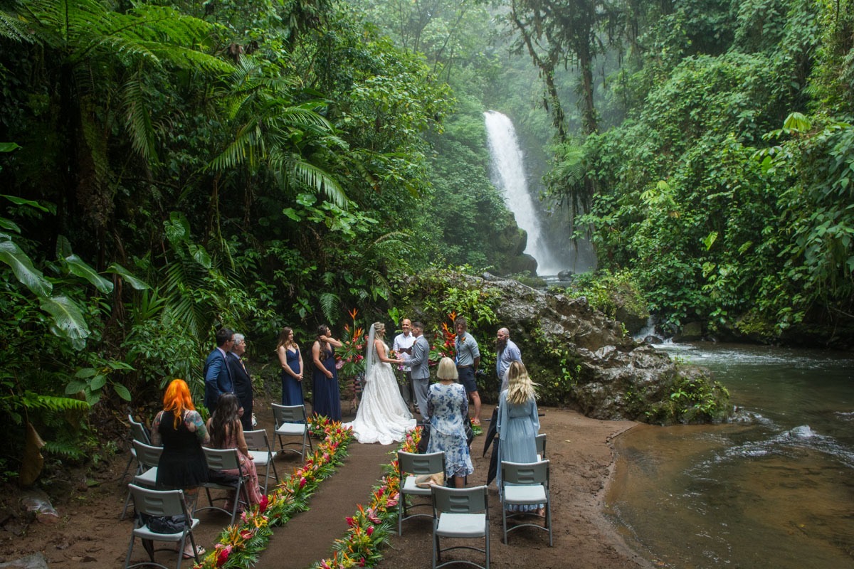 VegNews.VeganWeddings.JUNGLE